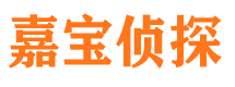 泾源市调查取证